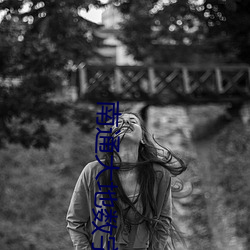 918博天堂·(中国)手机版客户端