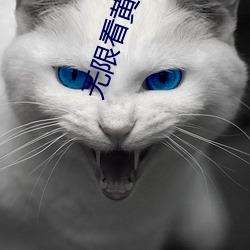 无(無)限看黄在线