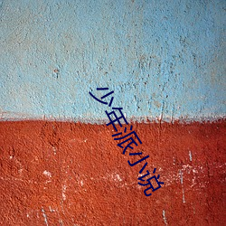 少年派小說