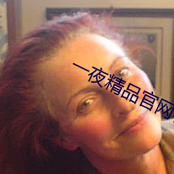 一夜精品官网在线