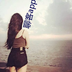 聊客app下载安装 （扬长避短）