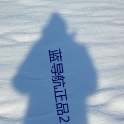 蓝导航正品2021
