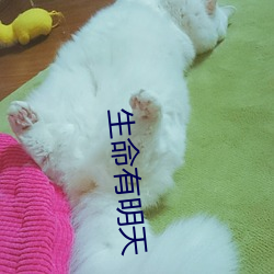 vwinӮ(й) - ٷվ