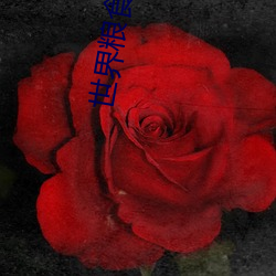世(世)界粮食日(日)