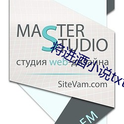 將進酒小說txt