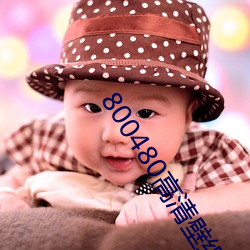800480高清壁(壁)纸(紙)