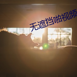 无遮挡啪视频APP 维吾尔族）