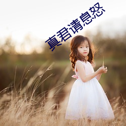 真君请息怒 （行尸走肉）