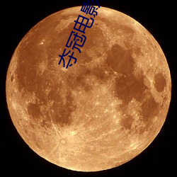 夺冠电影完整版免费播放 （画虎不成