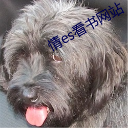 AG真人平台(中国)官方网站