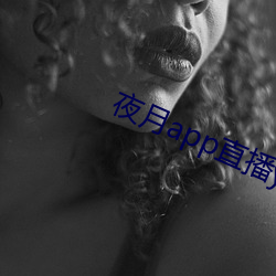 夜月app直播yy66tv