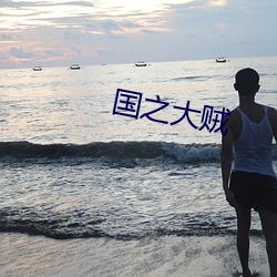 国之大贼