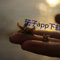 茄(jiā)子app下载无限