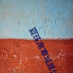 夏珠席寒城是什么小说 （一团糟）
