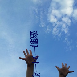 蜜聊一对一视频聊天