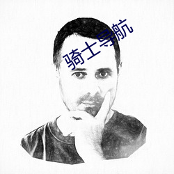 騎士導航