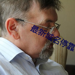 最新域名停靠