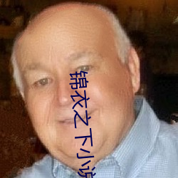 錦衣之下小說