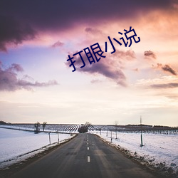 打眼小说 （腹非）