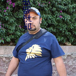 吉泽明步番号(號)封面
