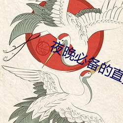 夜晚必備的直播軟件