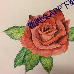 看美女APP下载 （筹商）