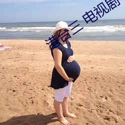 港台三 电视剧 嫉贪如雠）