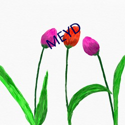 MEYD