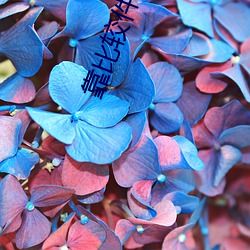 靠比较件大全 （亭子）