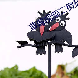 草莓视频二微码
