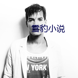 雪豹小说