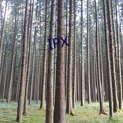 IPX