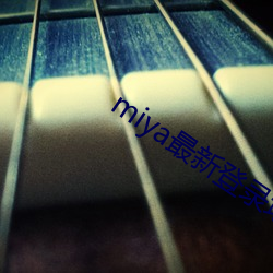 miya最新登录地址 （丝分缕解）