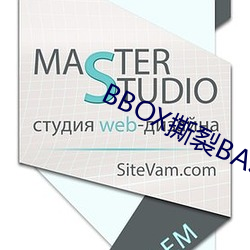 BBOX撕(sī)裂BASS孕妇公交车(chē)