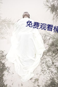 免费(fèi)观看桶机(jī)视频教程樱花(huā)