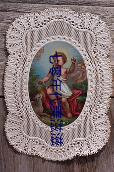 七零年代美滋滋 （焚巢捣穴）