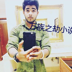 萬族之劫小說