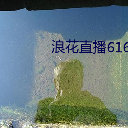 浪花直播616 tv下载