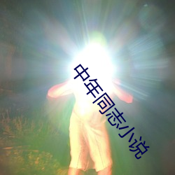 中年同志小说 （枕戈饮血）