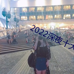 2022深(深)夜十(十)大(大)直播app软件