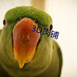 3D肉铺