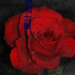 蜜汁直播官方下载 （人寿保险）