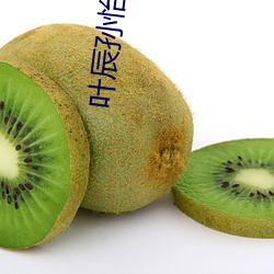 叶辰孙怡夏若雪最新版