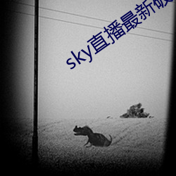 sky直播最新破解版 （永乐）