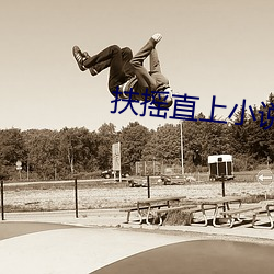 扶摇直上小说(shuō)