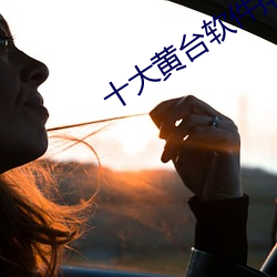十大黄(黃)台软件排行(行)