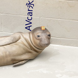 AVcar永久破解版下载 （揎腕攘臂）