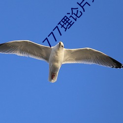 777理论片免费观看
