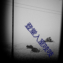 登堂入室吱吱