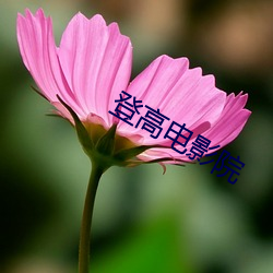 登高電影院